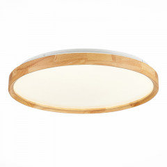 Накладной светильник Evoluce SLE201382-01