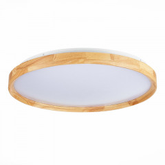 Накладной светильник Evoluce SLE201382-01