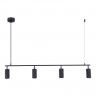 Подвесная люстра ST-Luce SL1213.403.04