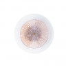 Бра ARTE Lamp A1259AP-1PB