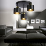 Накладной светильник Ambrella Light TR8121