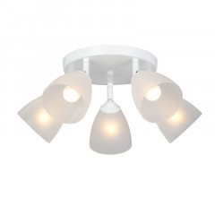 Накладная люстра Vitaluce V4355-0/5PL