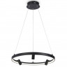 Подвесной светильник Ambrella Light FL5284