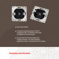 Розетка Arte Milano 203.42-1.black