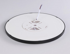 Накладной светильник Ambrella Light FZ1910