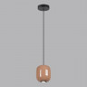 Потолочный детский светильник Odeon Light 5053/1G
