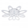 Накладная люстра Escada 10242/12LED