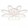 Накладная люстра Escada 10242/12LED