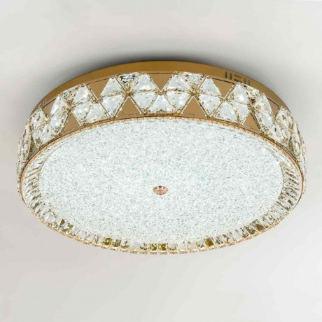 Накладной светильник MODELUX ML.2304.700 GD