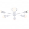 Люстра на штанге Ambrella Light TR80401