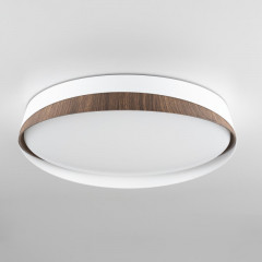 Накладной светильник Citilux CL754350G