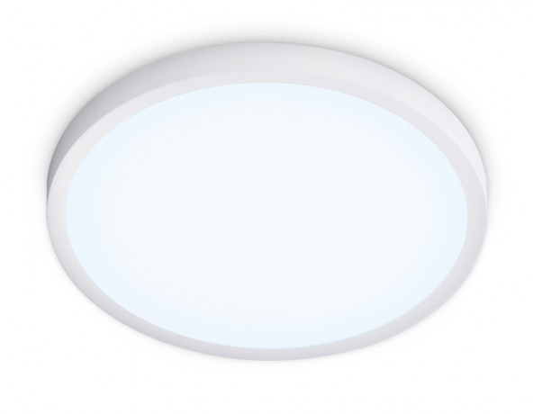 Накладной светильник Ambrella Light FZ1951