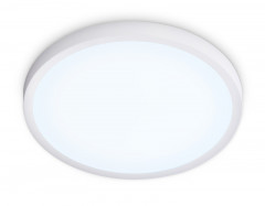 Накладной светильник Ambrella Light FZ1951