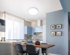 Накладной светильник Ambrella Light FZ1951