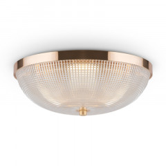 Накладной светильник Maytoni C046CL-03G