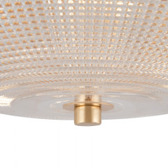 Накладной светильник Maytoni C046CL-03G