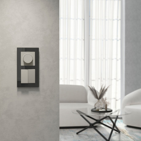 Выключатель Werkel W1222004 дымчатый