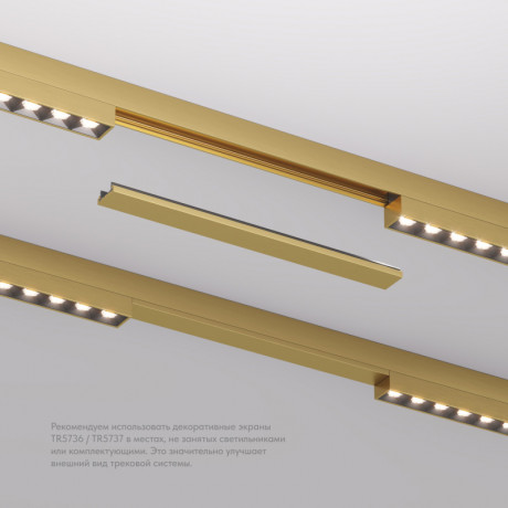 Заглушка Denkirs TR5736-SB