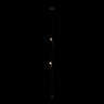 Подвесной светильник LOFT IT 10346/2 Black