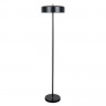 Торшер ARTE Lamp A7052PN-2BK