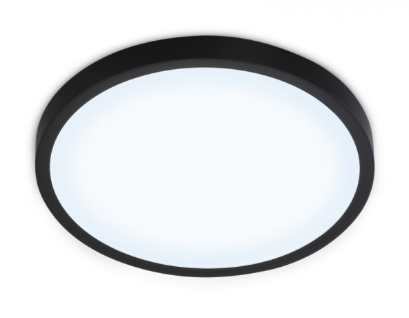 Накладной светильник Ambrella Light FZ1953