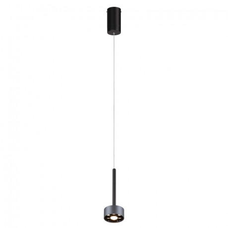 Подвесной светильник Favourite 4318-1P