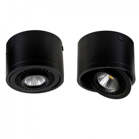 Накладной светильник Favourite 1779-1C