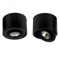 Накладной светильник Favourite 1779-1C