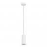 Подвесной светильник ST-Luce SL1213.503.01