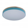 Потолочный детский светильник LOFT IT 10001/36 Blue