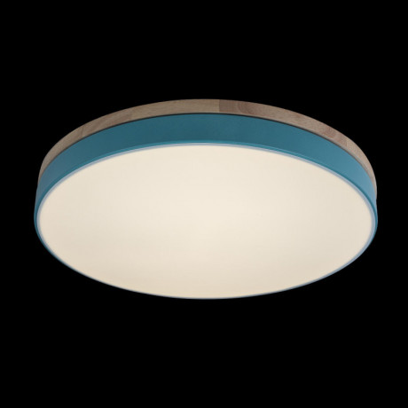 Потолочный детский светильник LOFT IT 10001/36 Blue