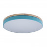 Потолочный детский светильник LOFT IT 10001/36 Blue