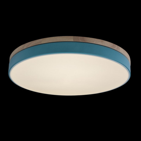 Потолочный детский светильник LOFT IT 10001/36 Blue