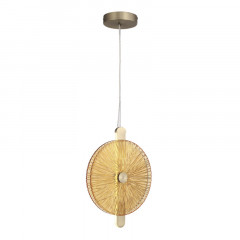 Подвесной светильник ST-Luce SL6141.313.01