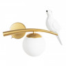 Детское бра ARTE Lamp A3422AP-1GO