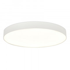 Накладной светильник ST-Luce ST601.542.18