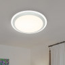 Накладной светильник Ambrella Light FF49