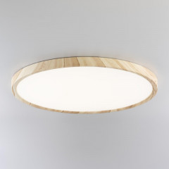 Накладной светильник Citilux CL738322V