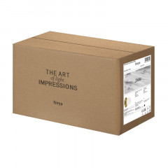 Бра Freya FR5125WL-01BS