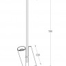 Подвесная люстра Maytoni MOD095PL-02BS