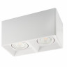 Накладной светильник Denkirs DK3035-WH