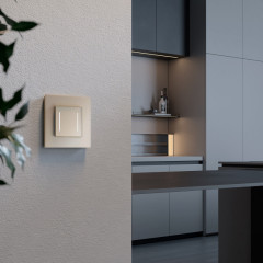 Выключатель Werkel W4523011