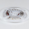Лента DesignLed DSG2120-24-NW-33