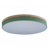 Потолочный детский светильник LOFT IT 10001/36 Green