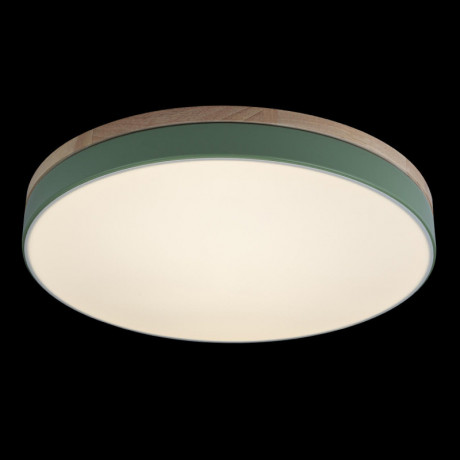 Потолочный детский светильник LOFT IT 10001/36 Green