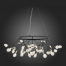 Подвесная люстра ST-Luce SL411.453.45