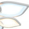 Накладной светильник Ambrella Light FA445