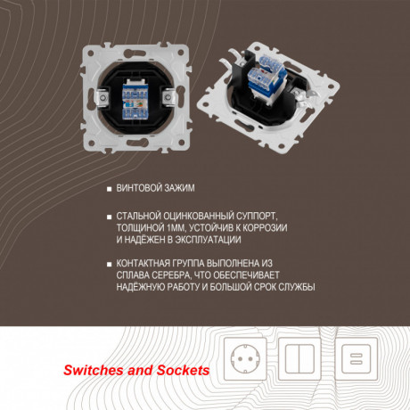 Розетка Arte Milano 202.45-1.shampan