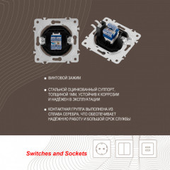 Розетка Arte Milano 202.45-1.shampan