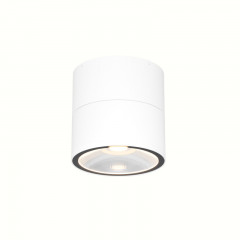 Накладной уличный светильник Maytoni O310CL-L12W3K